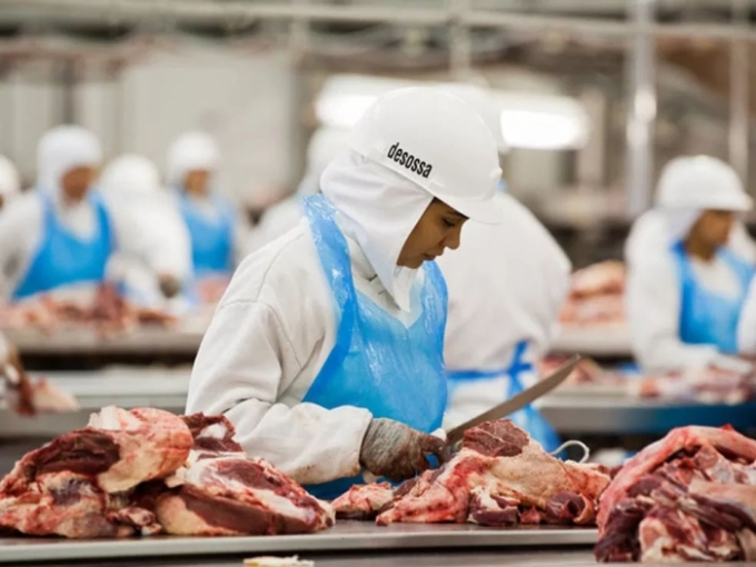 Exportações de carne bovina têm crescimento de 47% no 1º semestre