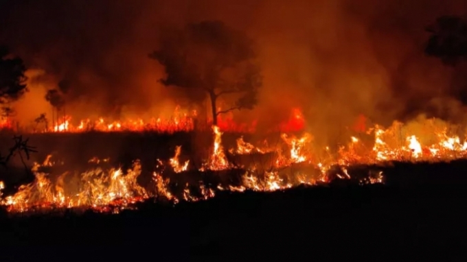 Incêndios no Pantanal: governo federal reconhece situação de emergência em 14 cidades de MS