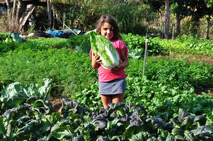 Família de Alcinópolis produz alimentos orgânicos.