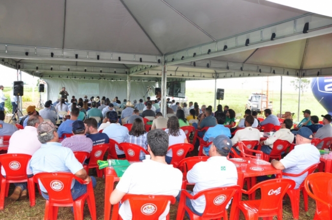 Dia de Campo Integração Lavoura-pecuária atrai produtores rurais de várias