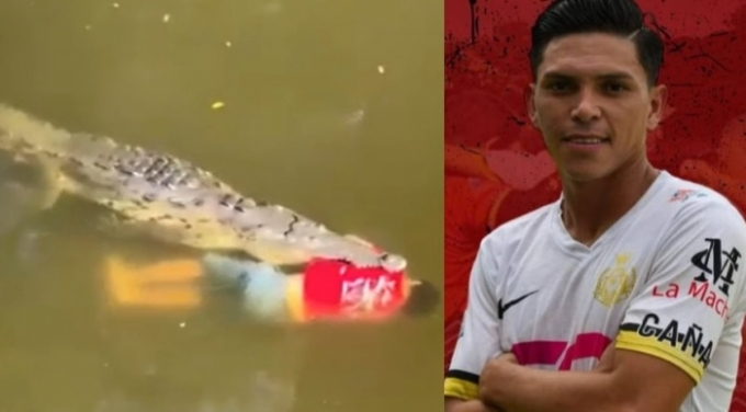 Jogador da Costa Rica morre devorado por crocodilo. Jogador da Costa Rica morre devorado por crocodilo.