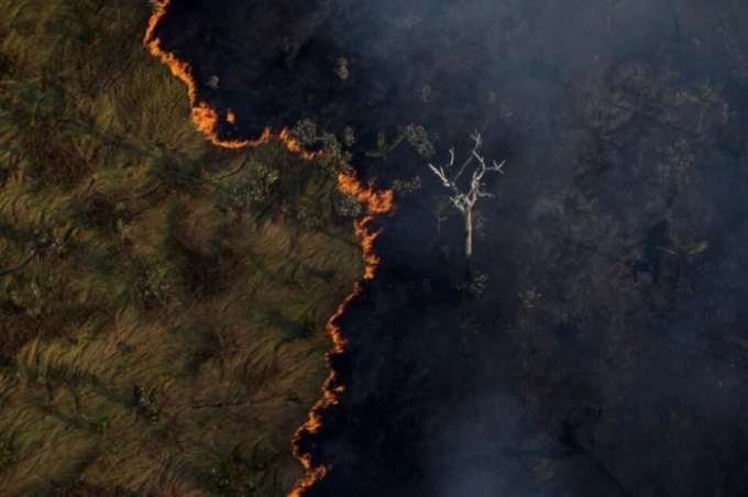 Amazônia começa a colapsar em 2050, diz estudo. Amazônia começa a colapsar em 2050, diz estudo.