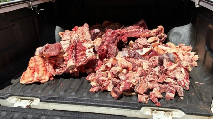 Donos de açougue e supermercado são presos por vender carnes clandestinas
