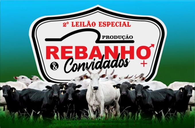 Leilão de gado em Alcinópolis, Cria, Recria e Engorda. Leilão de gado em Alcinópolis, Cria, Recria e Engorda.
