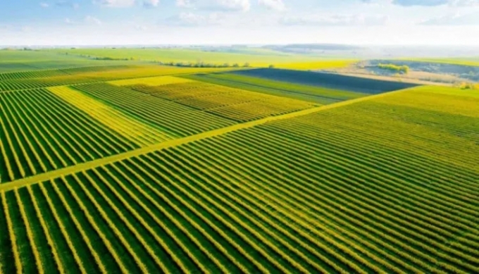 Hectare ou Alqueire: Qual o termo certo? Hectare ou Alqueire: Qual o termo certo?