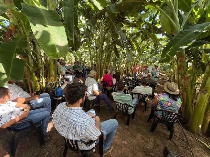 Assentamento Santa Fé em Alcinópolis recebe Oficina Técnica de Cultivo de Banana Assentamento Santa Fé em Alcinópolis recebe Oficina Técnica de Cultivo de Banana