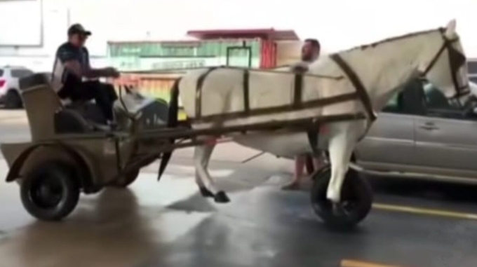 “Carroça-moto” com escultura de cavalo viraliza nas redes sociais