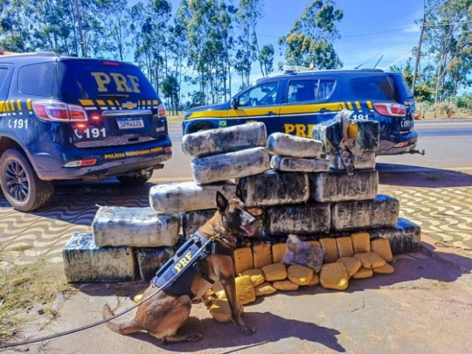 PRF apreende mais de 300 kg de skunk em carga de caminhão na BR-364, em Alto Araguaia-MT PRF apreende mais de 300 kg de skunk em carga de caminhão na BR-364, em Alto Araguaia-MT