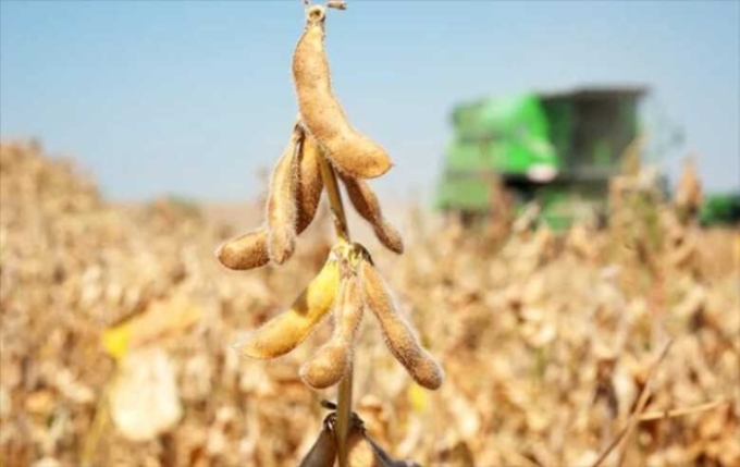 Ação da PM prende grupo que furtou 100 toneladas de soja de fazenda em Bandeirantes Ação da PM prende grupo que furtou 100 toneladas de soja de fazenda em Bandeirantes