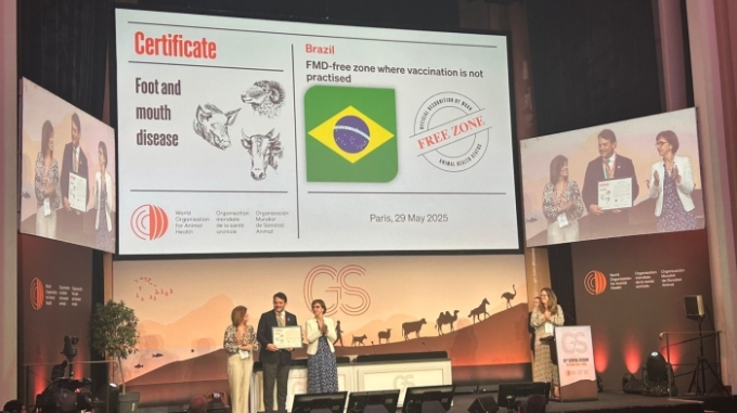 “Nossa carne é a melhor do mundo”, celebra Paulo Corrêa na Assembleia Geral da OMSA, em Paris “Nossa carne é a melhor do mundo”, celebra Paulo Corrêa na Assembleia Geral da OMSA, em Paris