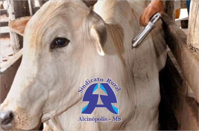 Inscrições abertas para curso de Inscrições abertas para curso de