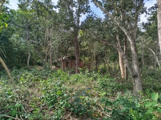 PMA autua oito pessoas por construções irregulares em APP no Rio Taquari PMA autua oito pessoas por construções irregulares em APP no Rio Taquari