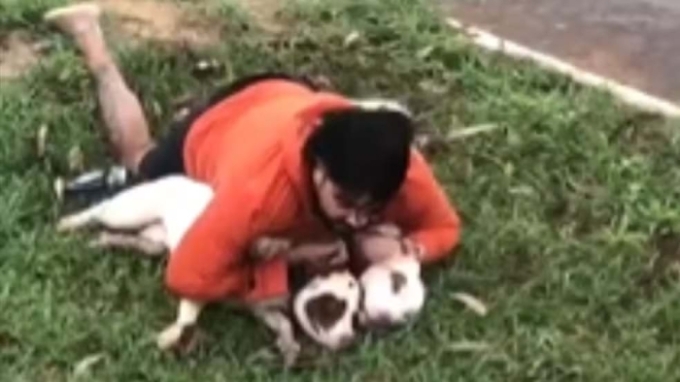 Lutador de Muay Thai é atacado, derrubado e imobiliza dois pitbulls em MS Lutador de Muay Thai é atacado, derrubado e imobiliza dois pitbulls em MS