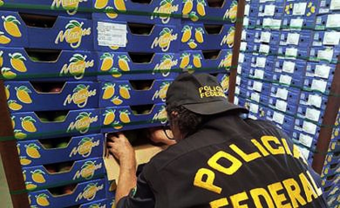 Polícia Federal apreende 265 kg de cocaína no Porto de Natal.