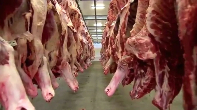 Frigoríficos de MS paralisam produção de carne destinada aos EUA após tarifaço de Trump Frigoríficos de MS paralisam produção de carne destinada aos EUA após tarifaço de Trump