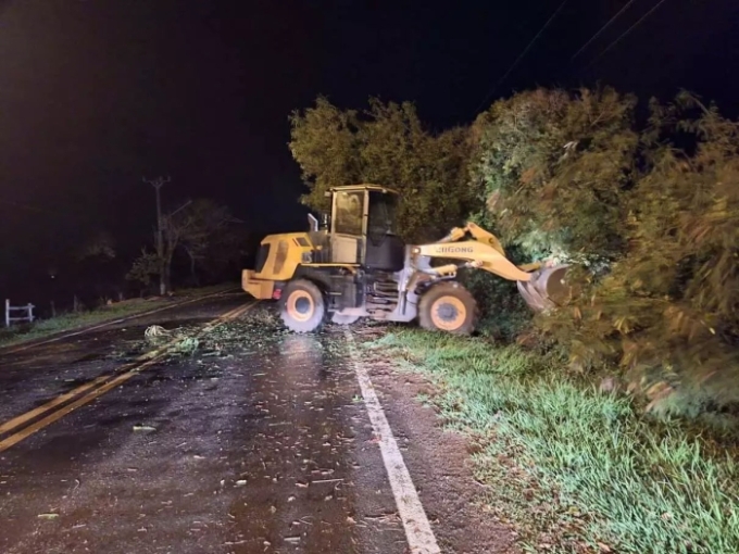 Temporal com fortes ventos derruba árvores em Bonito (MS)