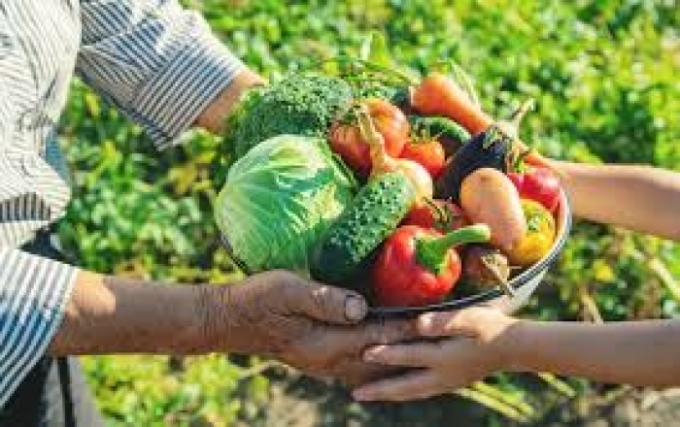 Figueirão abre chamada pública para compra de produtos da agricultura familiar