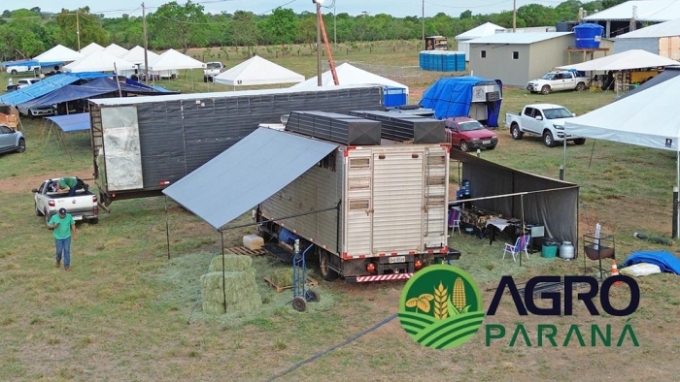 Agro Paraná já se encontra no Rancho CS, venda de feno