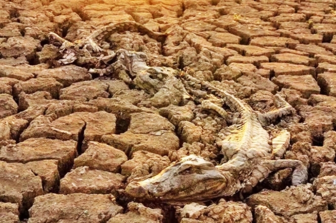 Pantanal tem o período mais seco dos últimos 40 anos, aponta levantamento