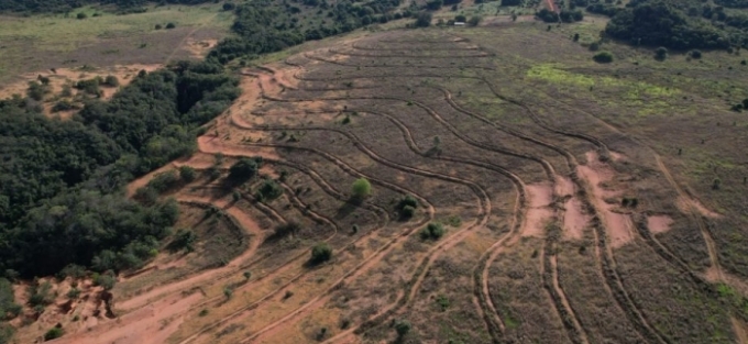 Parque Nascentes do Rio Taquari receberá mutirão para plantio em 40 hectares