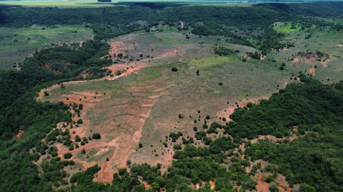 Mutirão dará início ao plantio de sementes no Parque Estadual Nascentes do Rio Taquari