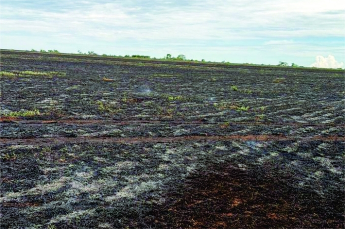 Fogo volta a atingir o Parque Nascentes do Rio Taquari em menos de 60 dias