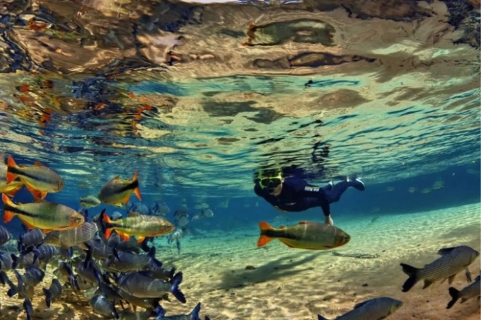 Bonito ativa plataforma de cobrança da Taxa de Conservação Ambiental