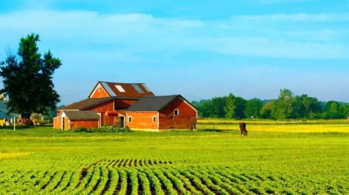 Qual a diferença entre rancho, sítio, fazenda ou chácara?