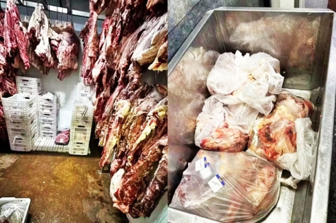 Mais de 2 toneladas de carnes impróprias para consumo são apreendidas em supermercado de Campo Grande