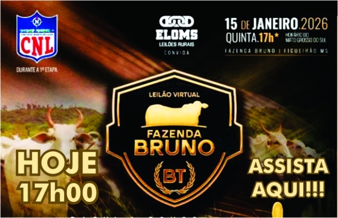 Não percam hoje o 1° Leilão Virtual da Fazenda Bruno, às 17h00