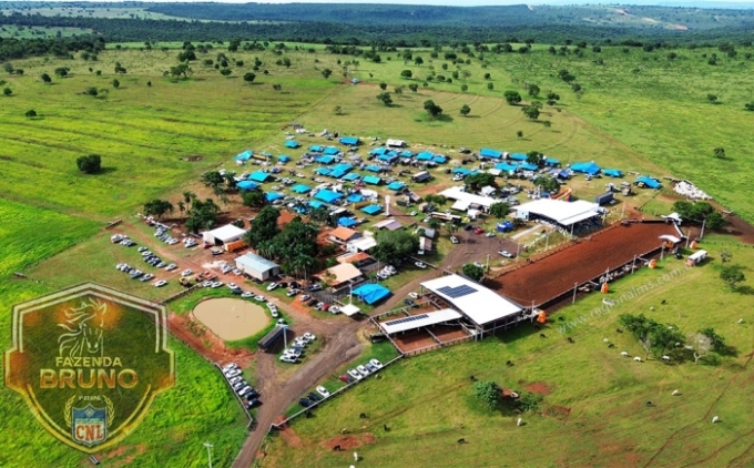 Fazenda Bruno encerra a 1ª Etapa do Circuito Norte de Laço (CNL) 2026 com chave de ouro