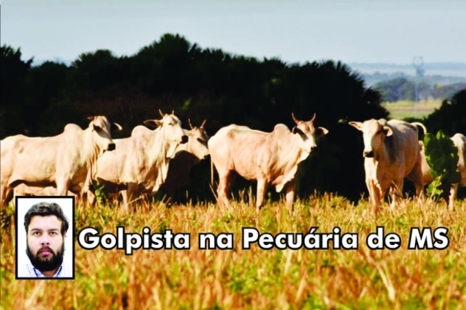 Suspeito de aplicar golpe milionário em pecuaristas de MS vira alvo da polícia