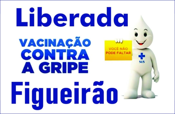 Vacina contra a gripe está liberada para toda a população acima de 06 meses, em Figueirão
