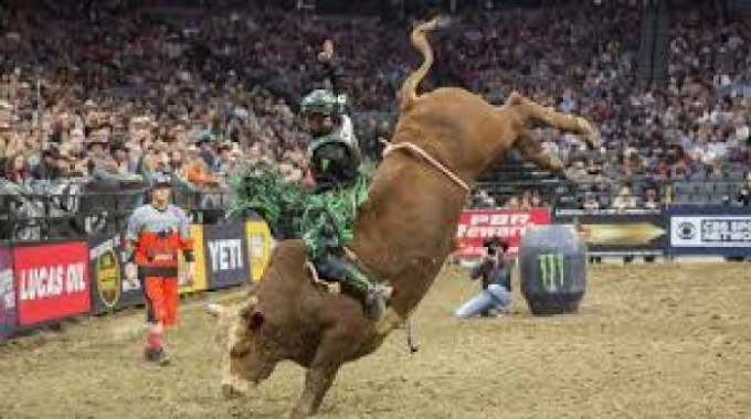 Publicações de ONG contra rodeio não podem ser censuradas, decide STF