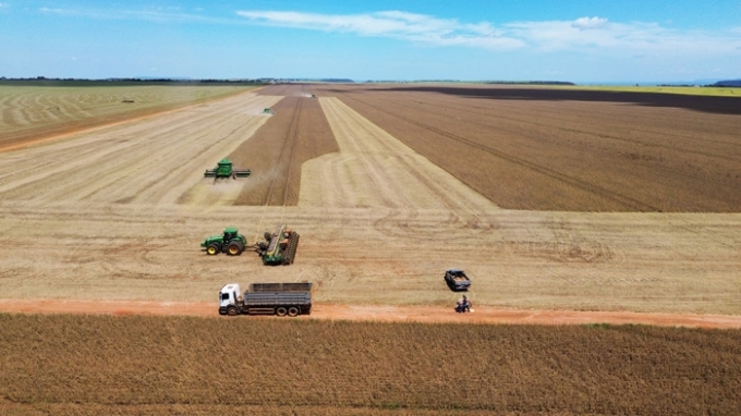 Colheita da soja e plantio do milho safrinha avançam em lavouras de Alcinópolis