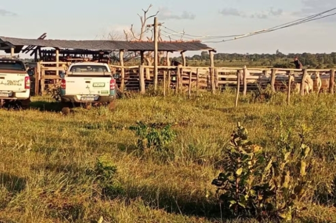 Pai e filho são presos suspeitos de receber mais de 70 cabeças de gado furtadas em MS