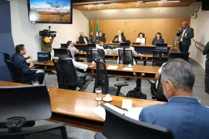 Eucalipto ameaça água, abelhas e até plantação de alface, alertam especialistas