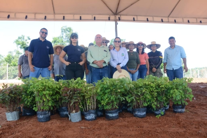 Figueirão realiza plantio de mudas e cria barreira arbórea no Transbordo Municipal