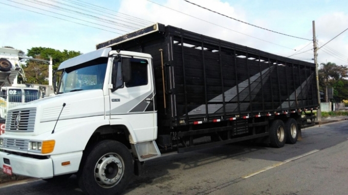 ATENÇÃO: Proprietários de caminhões em Alcinópolis  “Transportadores de Animais”.