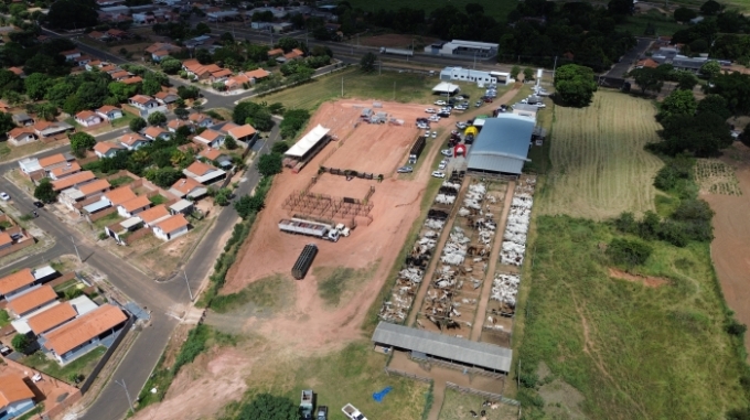 Leilão movimenta mais de 1,3 mil bovinos e mostra a força da pecuária de Alcinópolis