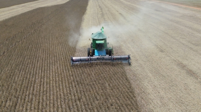 Alcinópolis lidera produtividade da soja em MS, mesmo com colheita atrasada no Estado