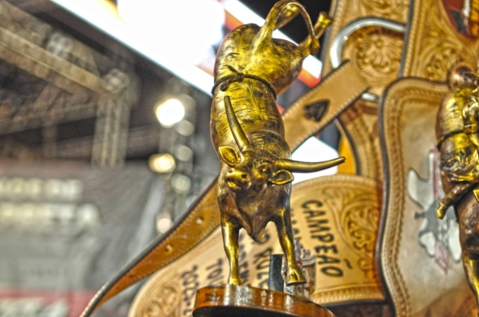 Confira os campeões nacionais e regionais da Ekip Rozeta, no rodeio de Alcinópolis