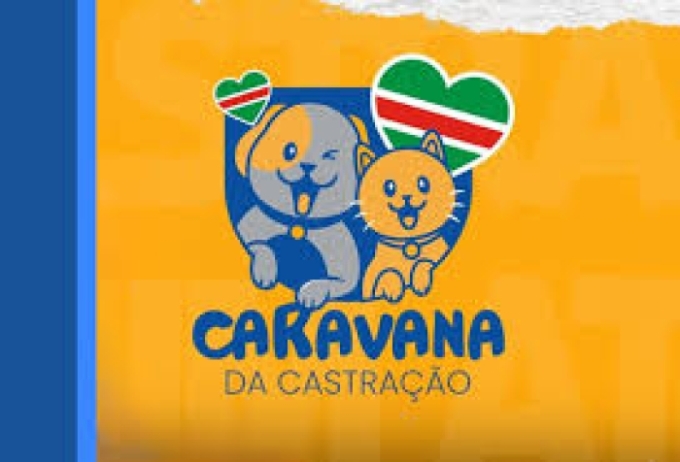 Caravana da Castração chega a Alcinópolis com vagas gratuitas para cães e gatos