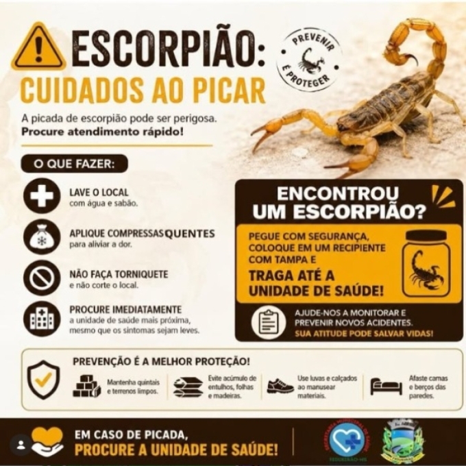 Prefeitura de Figueirão alerta população sobre risco de acidentes com escorpiões