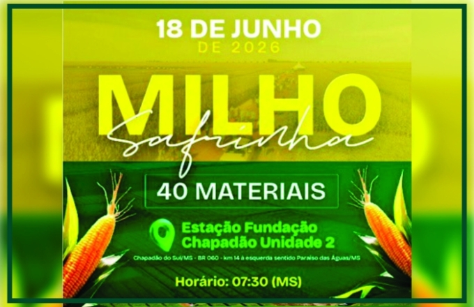 Dia de Campo Milho Safrinha da Fundação Chapadão apontará os desafios da cultura neste ano
