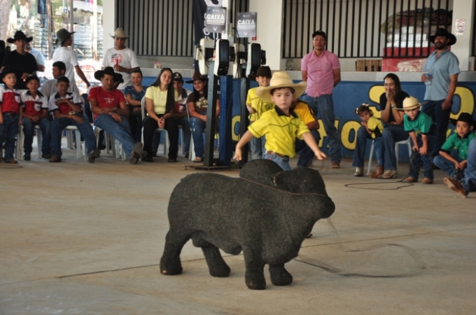 Categoria Vaca Parada emociona famílias durante o 20º Encontro Estadual do Laço Comprido