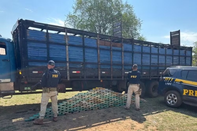 Caminhoneiro é preso com quase 200 kg de cocaína escondida embaixo de gado