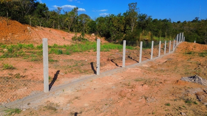 Rodovia MS-436 recebe corredor ecológico para proteção da fauna
