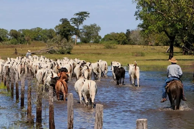 Justiça reconhece trabalho de peão de comitiva e garante aposentadoria rural