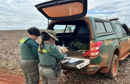 Fazendeiros são multados em quase R$ 900 mil por plantio de milho transgênico no entorno do Parque